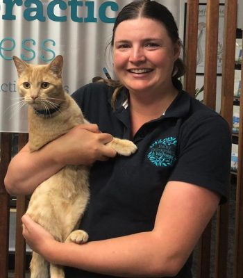 PHOTO-2024-09-11-17-12-00